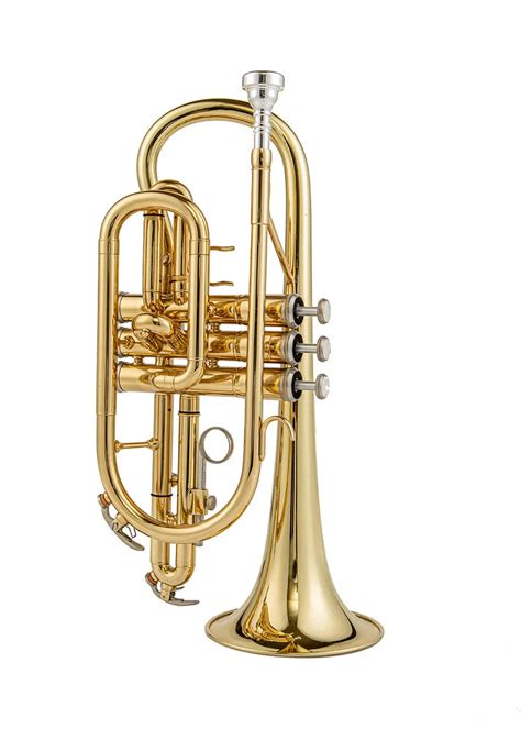 high-grade Cornet free shipping - johnpackerjp.com– JP