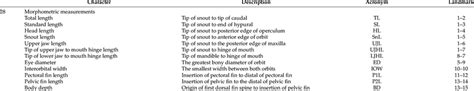 Definition Of Morphometric Measurements And Meristic Counts For The Download Scientific Diagram