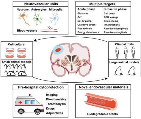 Science Bulletin缺血性脑卒中血流再通时代的脑细胞保护新策略 腾讯新闻