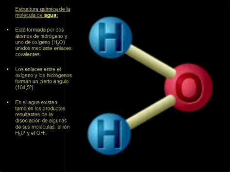 CSA Ciencias2013 Biologia 3º