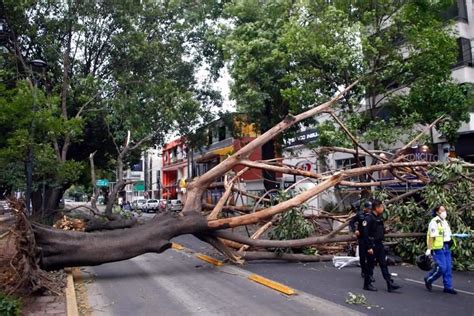 Activan alerta amarilla por vientos fuertes en CDMX México Informa