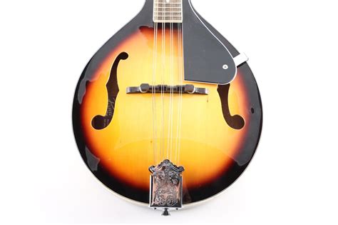 Rogue RM-100A Mandolin and Case | EBTH