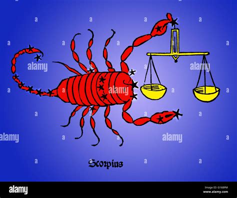 Farbverbesserung Von Scorpius Manchmal Skorpion Eines Der