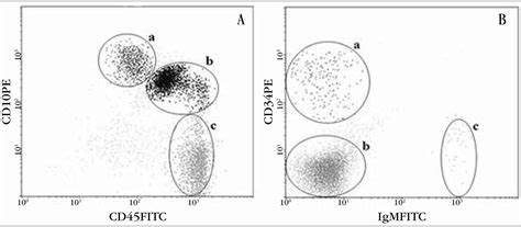 Hematogones Flow Cytometry Hot Sex Picture