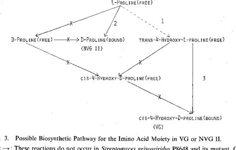 Figure 3 From A Certain Mutant Blocked In Trans 4 Hydroxy L Proline