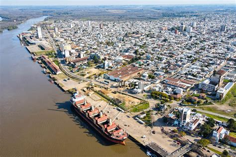 Más de 33 mil toneladas de troncos de pino saldrán de los puertos