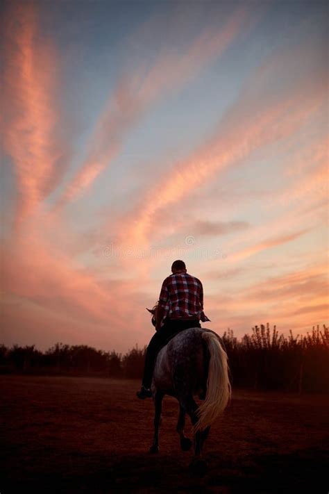 Horse riding at sunset stock photo. Image of waves, sand - 2177478