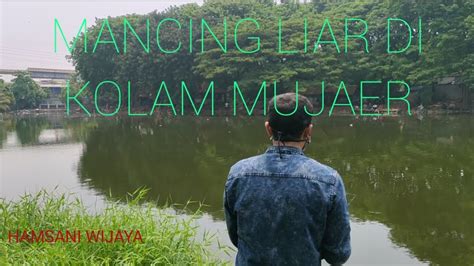 Mancing Liar Di Kolam Mujaer Youtube