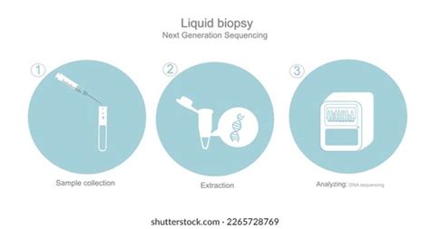 Workflow Step Dna Sequencing Next Generation Stock Vector Royalty Free