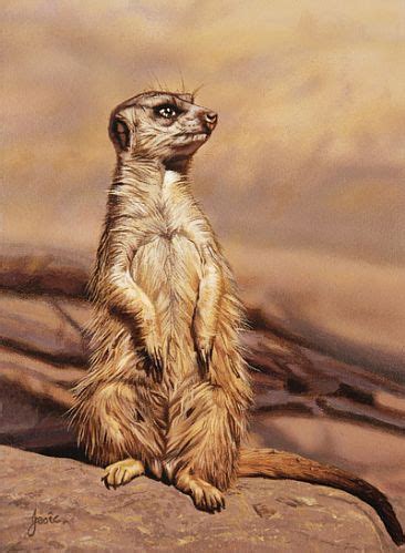 Meerkat Painting