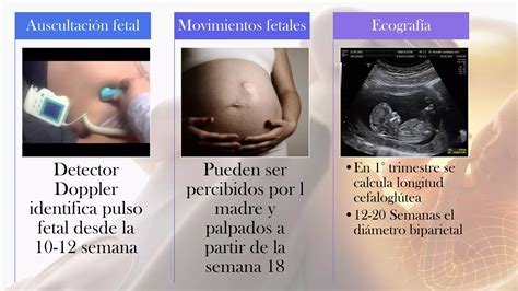 Edad de embarazo estudio de la pelvis Pelvimetría PPT