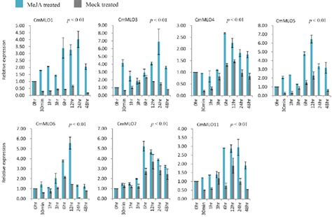 Real Time Quantitative PCR Relative Expression Analysis Of CmMLO Genes