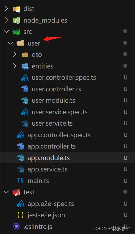 Nestjs入门及实战（一）nestjs入门、restful Api Csdn博客