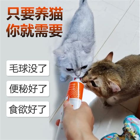 猫咪专用化毛膏幼猫营养膏增肥调理肠胃防掉毛提高免疫力猫营养品虎窝淘