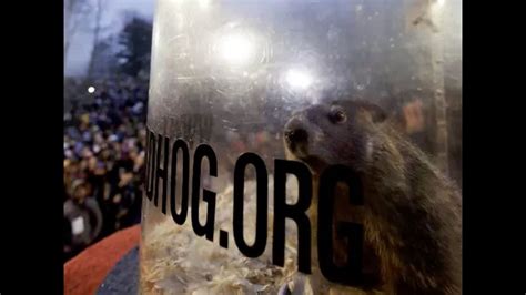 Groundhog Day: Did he see his shadow? | 11alive.com