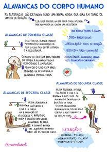 MAPA MENTAL ALAVANCAS Cinesiologia