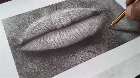 How To Draw Hyper Realistic Lips In Pencil In 2020 Drawing Tutorials