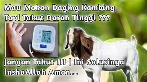 Cara Mengatasi Darah Tinggi Setelah Makan Daging Kambing Tips Herbal