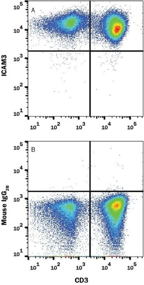 Human ICAM 3 CD50 Antibody R D Systems 25 μg Unconjugated Fisher