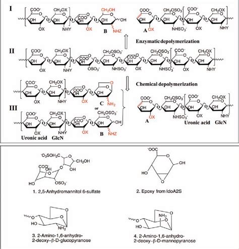 Low Molecular Weight Heparin Structure