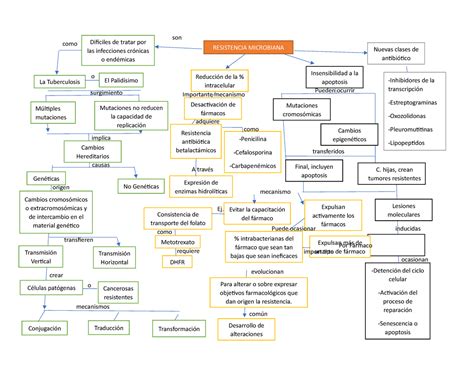 Mapa Conceptual Farma Importante Mecanismo Desarrollo De Alteraciones