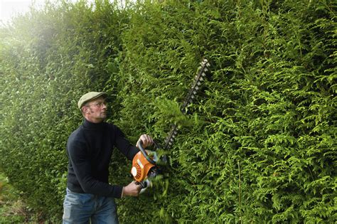 Best Tips In Choosing Hedge Trimmer My Neighbor Services