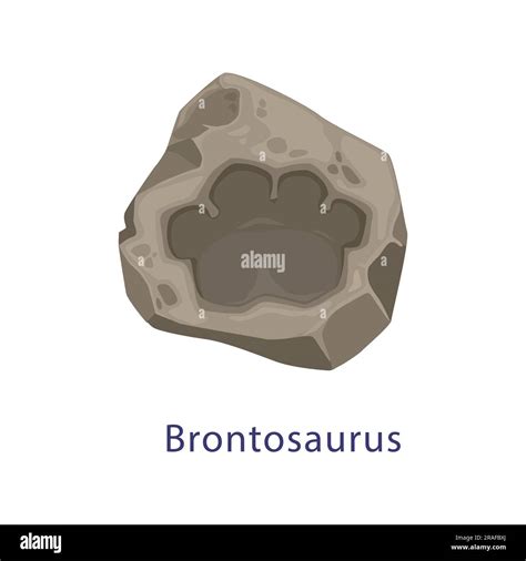 Ancient Dinosaur Footprint Brontosaurus Fossil Isolated Vector Dino