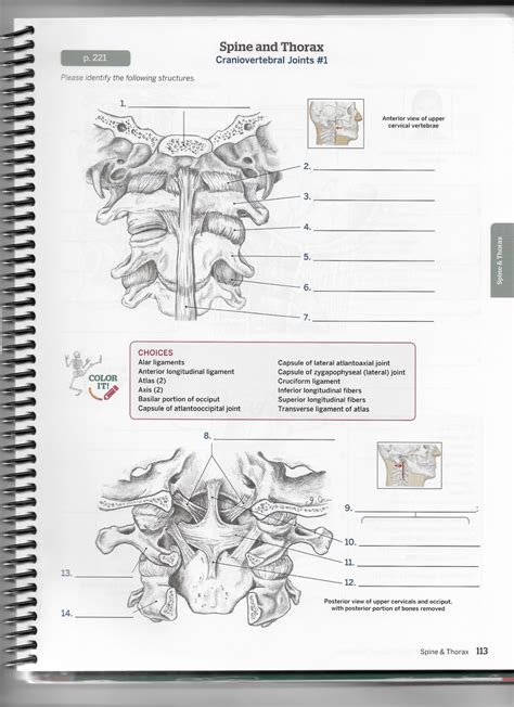 Craniovertebral Joints 1 Diagram Quizlet