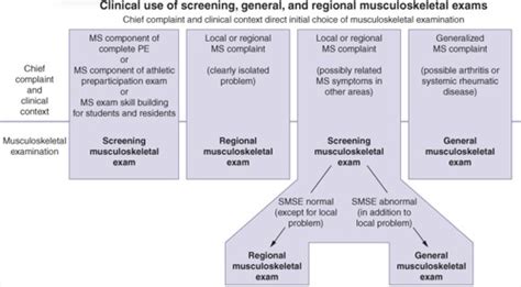 MSK Examination Flashcards Quizlet