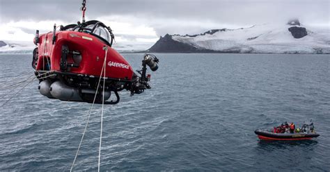 Greenpeace Descubre Una Gran Biodiversidad En La Inmersión Más Al Sur