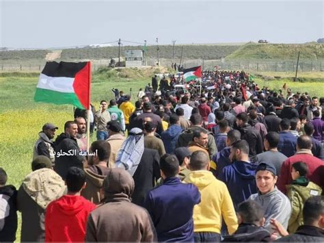 Palestina Internacional Broadcast on Twitter Las Fuerzas de ocupación