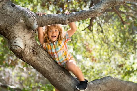 Enfant Drôle Grimpant à Un Arbre Dans Le Jardin Enfant Actif Jouant à L