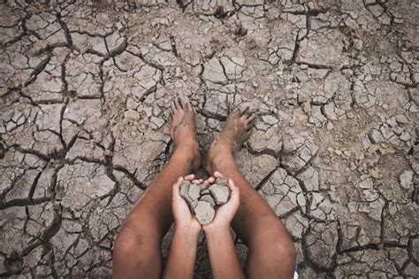 Premium Photo Close Up Of Farmer Holding Dry Mud On Field