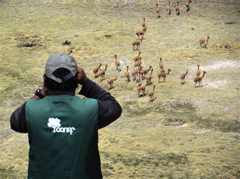 Arica al día Hoy en Todo Chile CONAF Celebra a sus Trabajadores