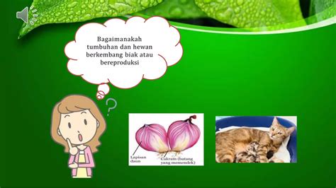 Ppt Kd Sistem Perkembangbiakan Tumbuhan Hewan Pptx