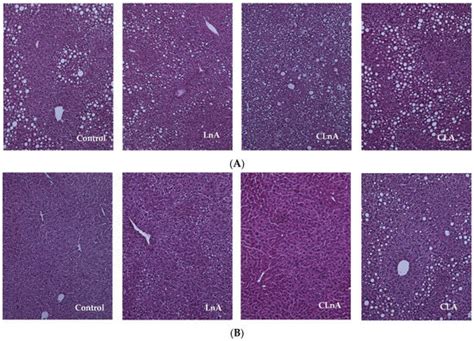 Ijms Special Issue Inflammatory Response In Endocrine Disorders