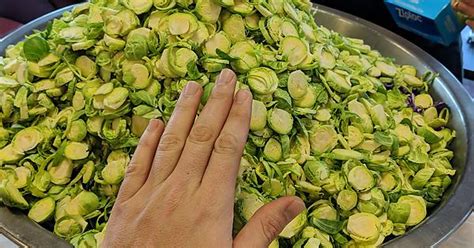 13 Pounds Of Sliced Brussel Sprouts I M Done Album On Imgur