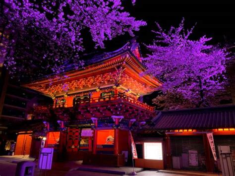 Kanda Area Guide | Tokyo Cheapo