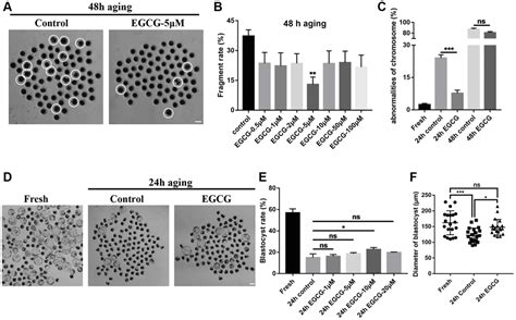 Epigallocatechin 3 Gallate Protects Porcine Oocytes Against Post