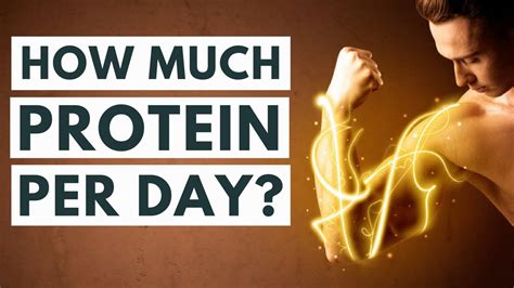 How Much Protein Should You Eat Per Day Youtube