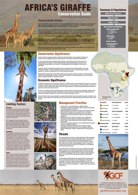 Conservation Guide Archives Giraffe Conservation Foundation