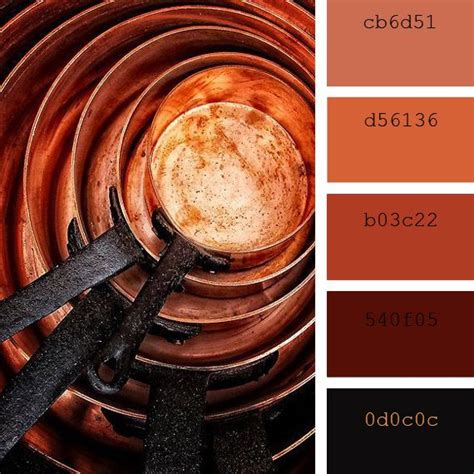 Pin By Brenda Lopez On Color Inspiration Copper Copper Pans Color