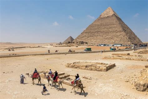 Tourists Ride On Camels Guided By A Local Man At Giza In Front Of Pyramids Egypt Editorial