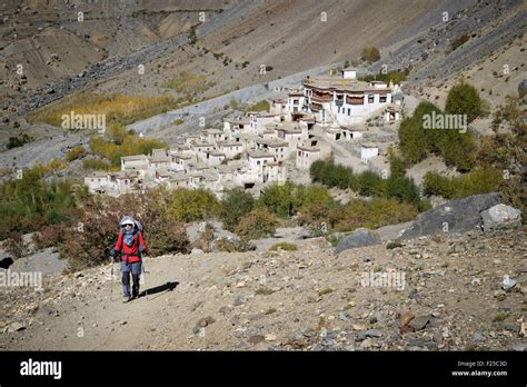 India Jammu And Kashmir State Himalaya Ladakh Zanskar Trekker And