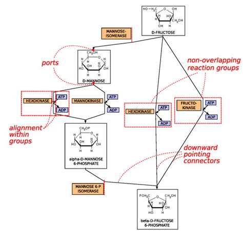 A Metabolic Pathway Arranged With Standard Drawing Conventions