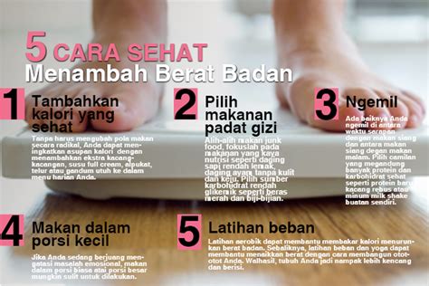 Penambah Berat Badan Newstempo