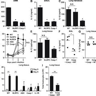 The Role Of NLRP3 ASC And Caspase 1 In Inflammasome Activation And