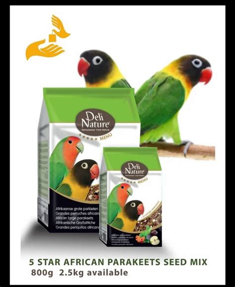 5 Star African Parakeet 800gm At Rs 470pack Bird Food In Ernakulam