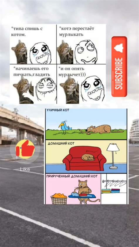 мемы про котов #хочуврек #cat #рекомендации #рек #реки #мемы #memes # ...