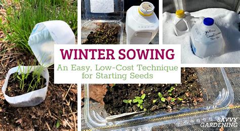 Winter sowing: An Easy, Low-Cost Technique for Starting Seeds